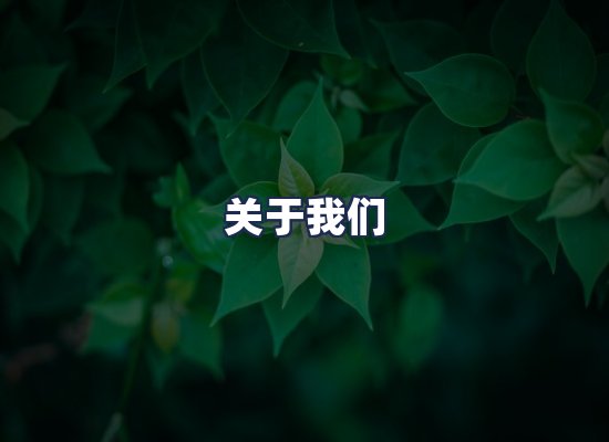 关于我们
